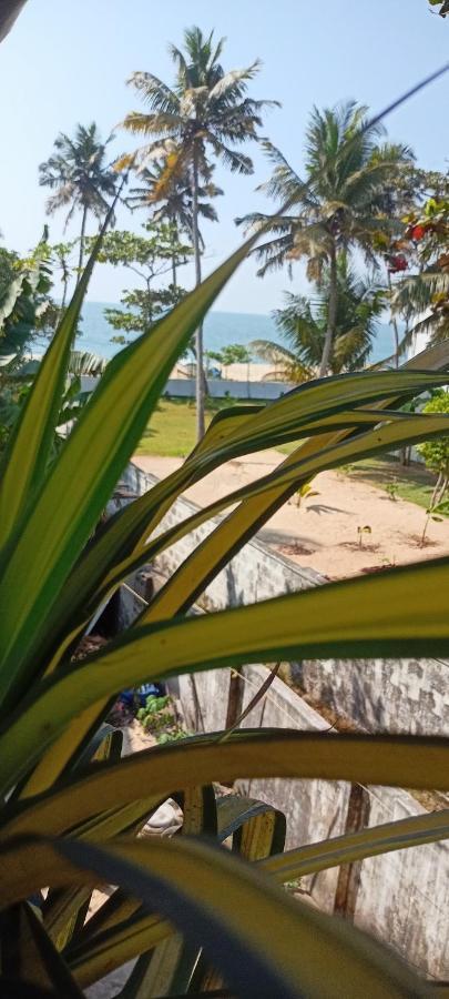 Marari Sibiya Beach Villa Mararikulam Eksteriør bilde