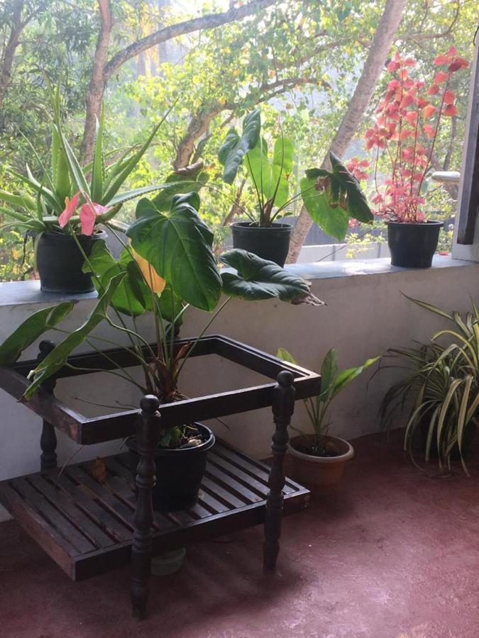 Marari Sibiya Beach Villa Mararikulam Eksteriør bilde