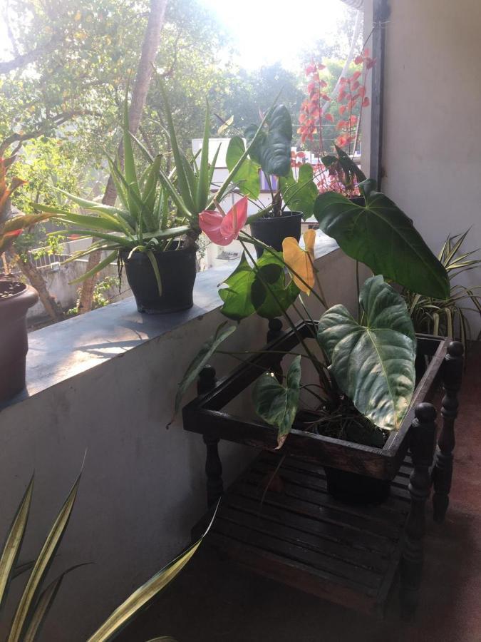 Marari Sibiya Beach Villa Mararikulam Eksteriør bilde