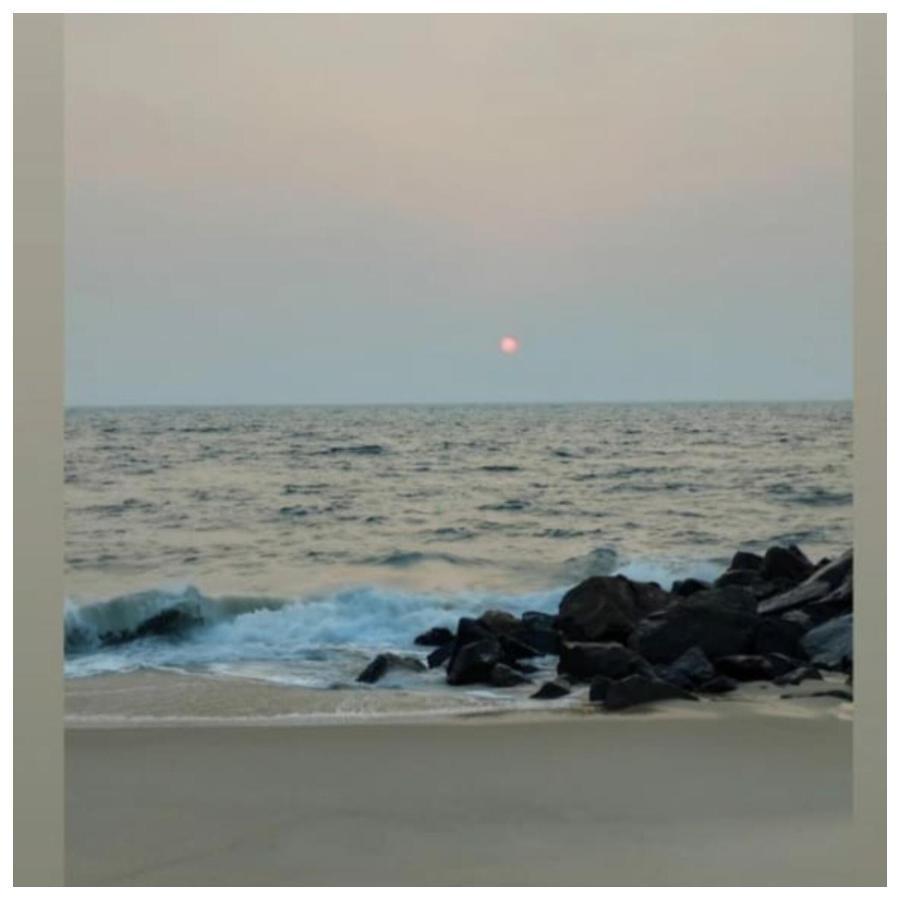 Marari Sibiya Beach Villa Mararikulam Eksteriør bilde