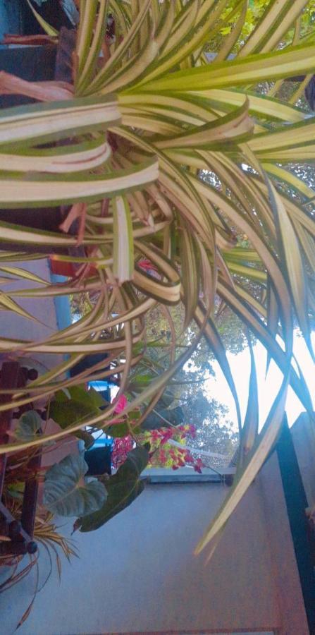 Marari Sibiya Beach Villa Mararikulam Eksteriør bilde