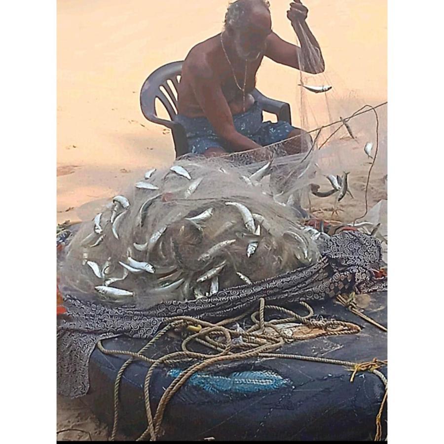 Marari Sibiya Beach Villa Mararikulam Eksteriør bilde